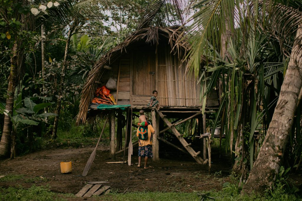 Bush house, papua new guinea